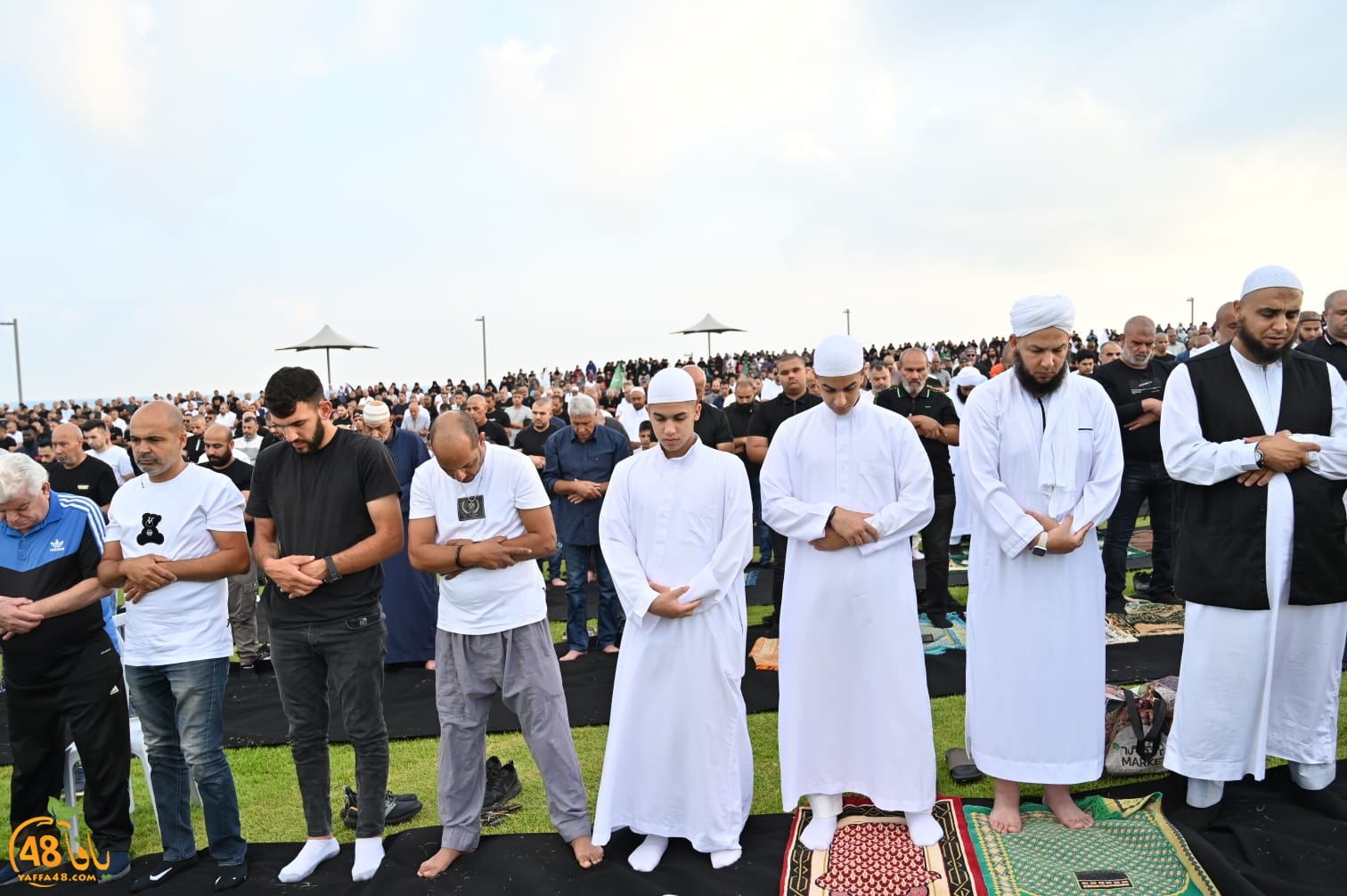 WhatsApp Image 2023-06-28 at 5.41.37 PM (1).jpeg